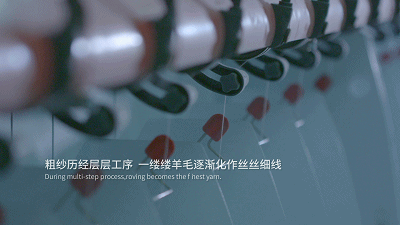 1540452406341913.gif