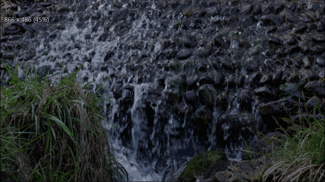 5.gif