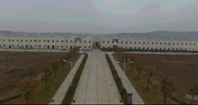1.gif